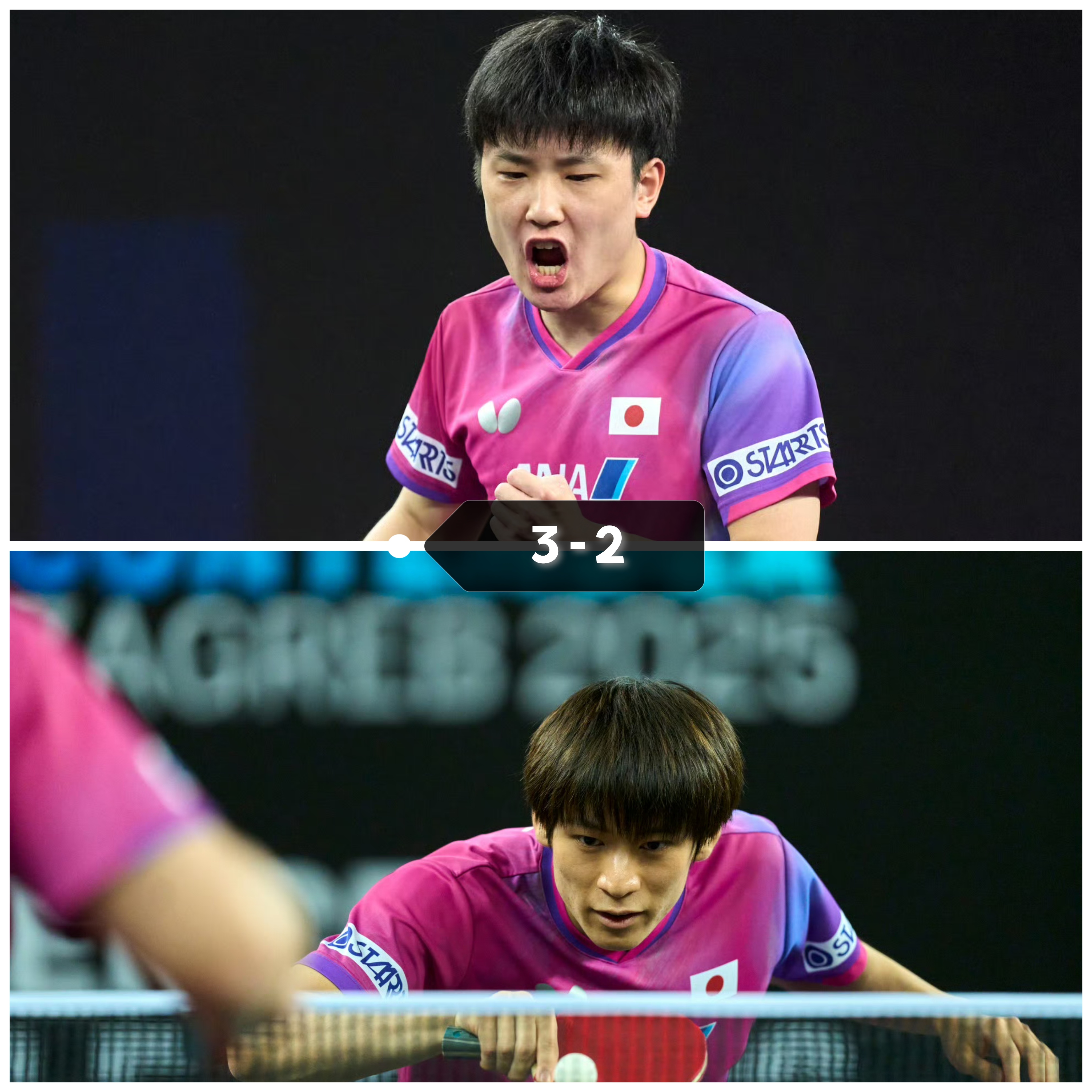 开云下载-波兰队力克奥地利队，张本智和带队取胜