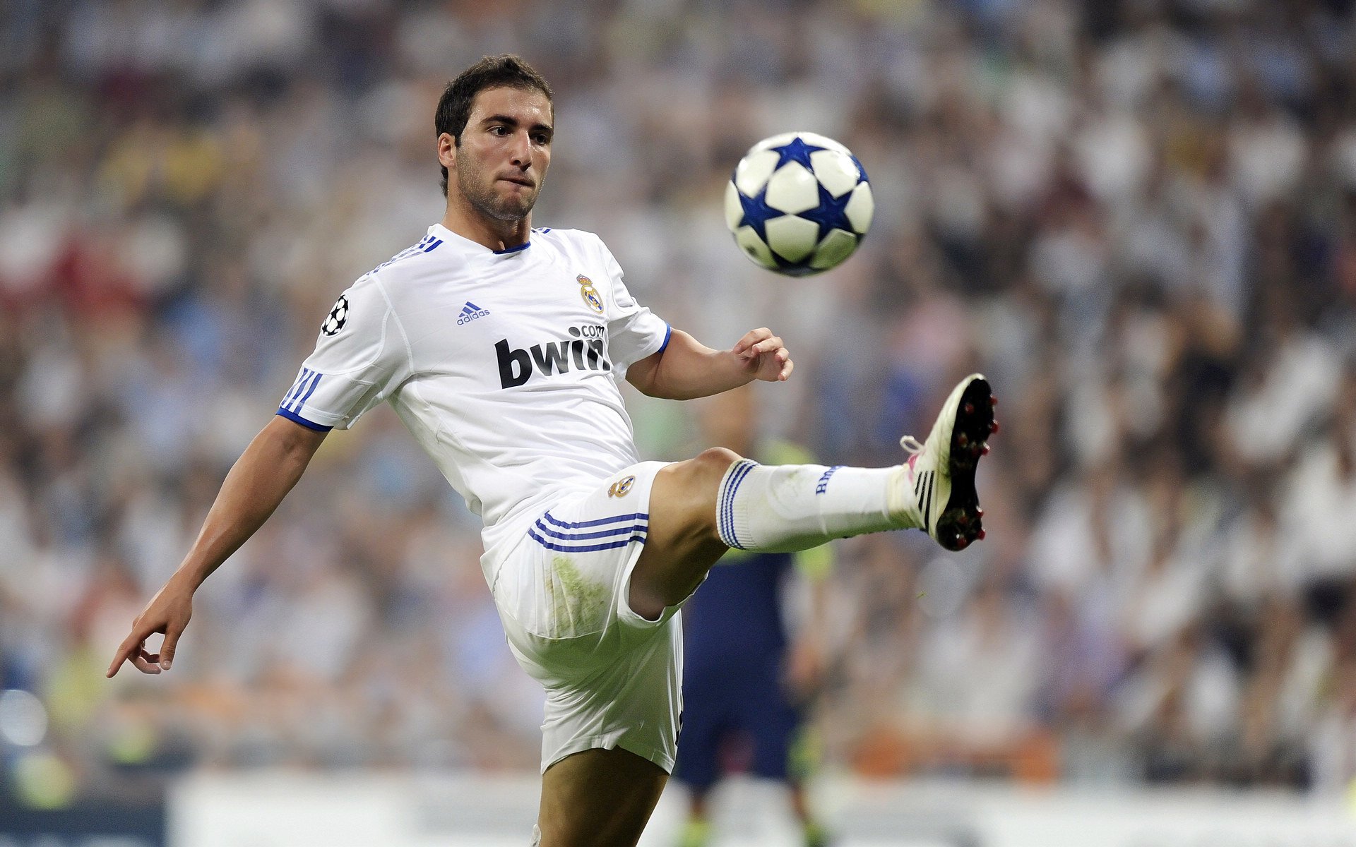 世界杯2026-利拉德魔术，当大舞台成为炼金术，广东王朝在刀尖上起舞